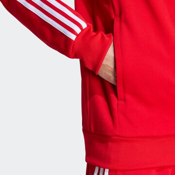 ADIDAS ORIGINALS Суичъри с качулка 'Adicolor Classics Sst' в червено