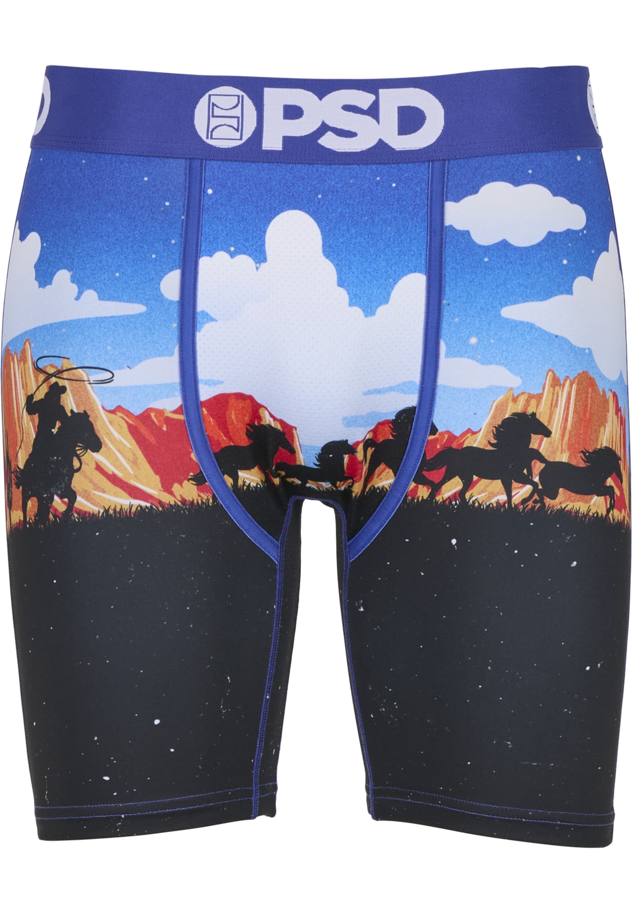 Boxers 'ACE HIGH' PSD en mélange de couleurs : devant