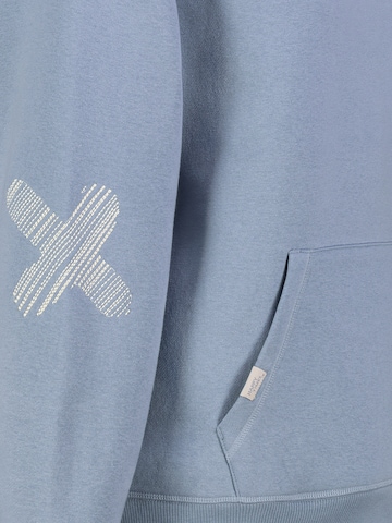 Sublevel Sweatshirt in Blau