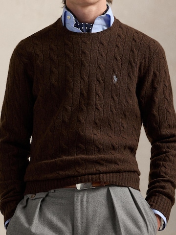 Polo Ralph Lauren Sweater in Brown