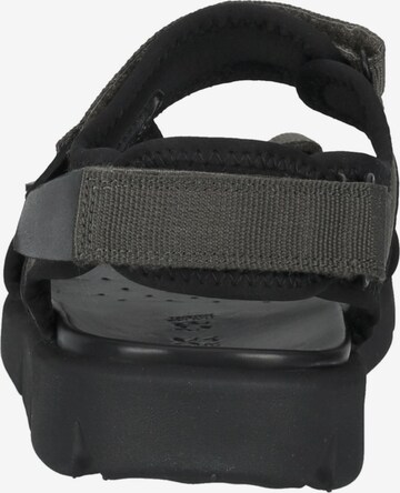 GEOX Hiking Sandals 'Xand 2S' in Grey