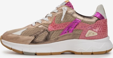 Floris van Bommel Sneaker 'Daysi 05' in Braun: Vorderseite