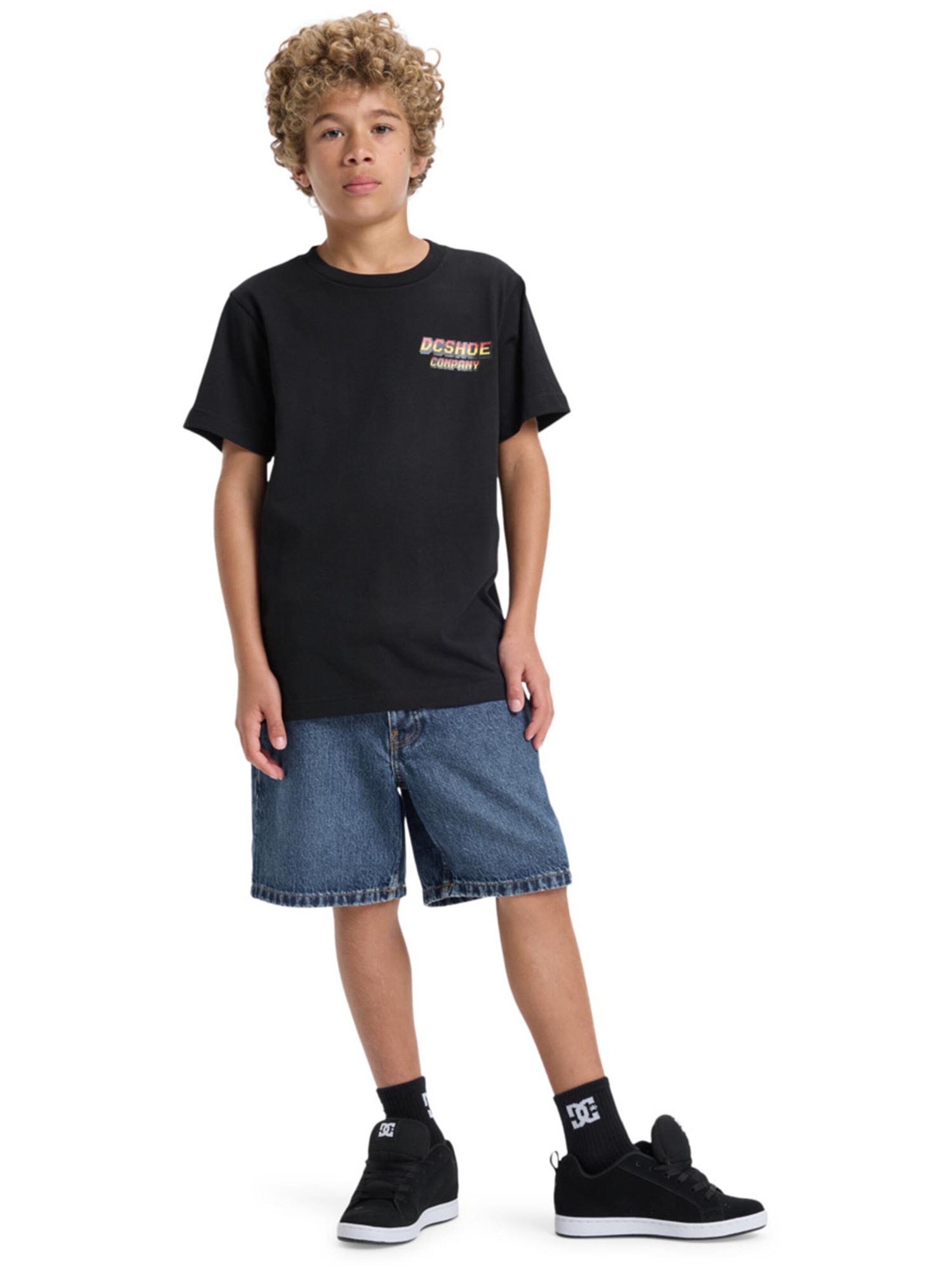 DC Shoes Funkcionalna majica 'TWO BIT' | črna barva