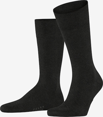 FALKE Socken 'Cool 24/7' in Grau: Vorderseite