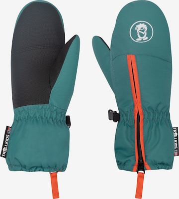 TROLLKIDS Gloves in Blue: front