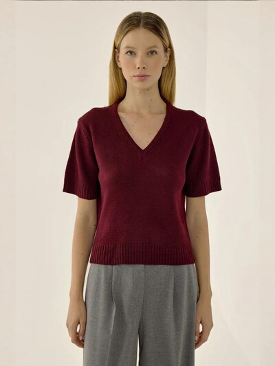 Hiccup Pull-over 'Pullover' en S en bourgogne, Vue avec produit
