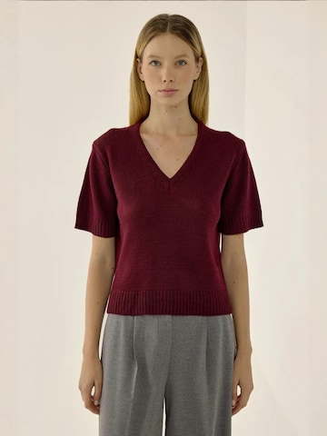 Pull-over 'Pullover' Hiccup en rouge : devant