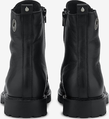 Ca'Shott Ankle Boots in Black
