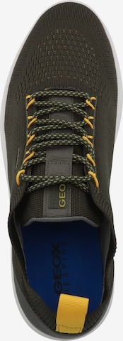 GEOX Sneakers 'Spherica' in Green