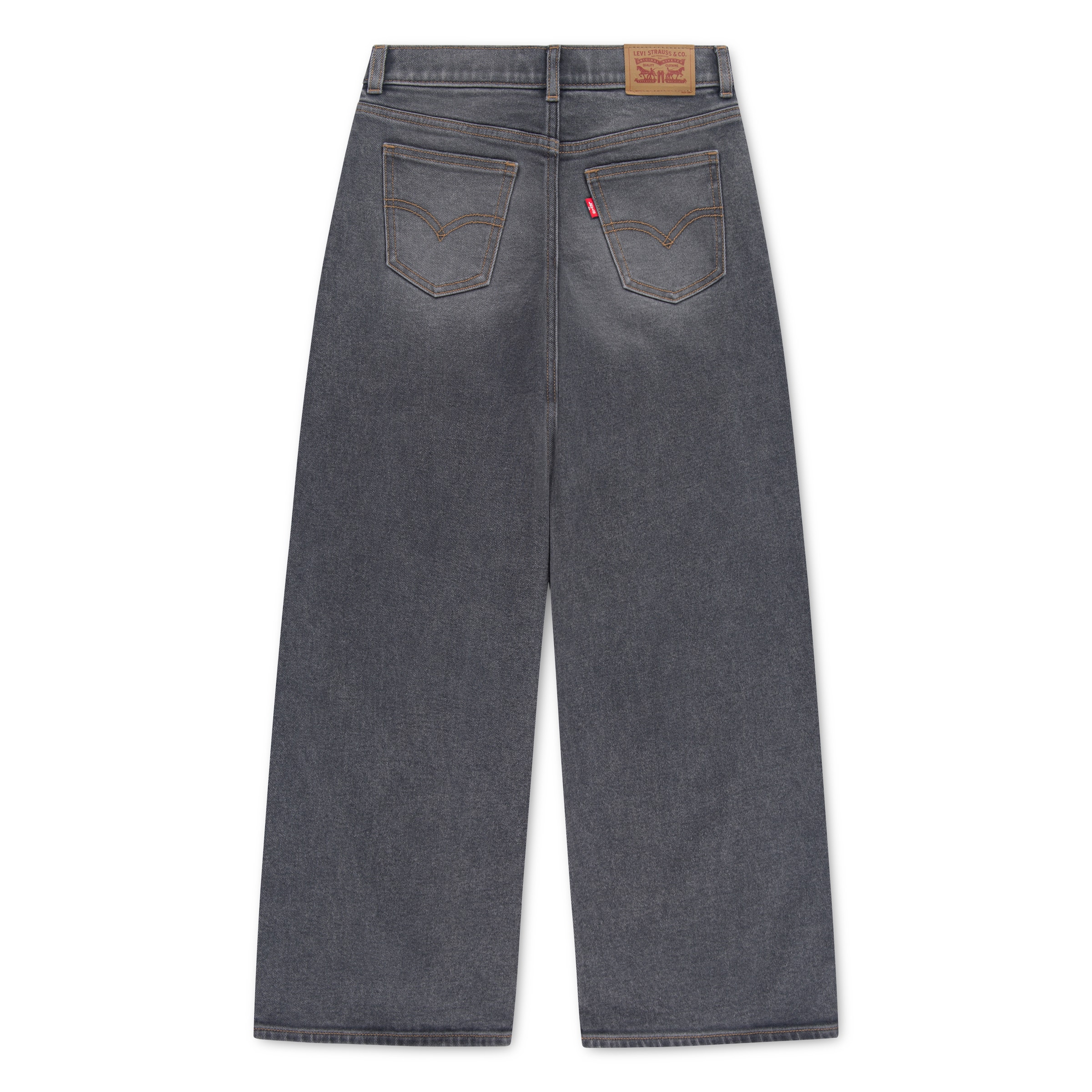 Levi's Kids Baggy Jeans in Grey