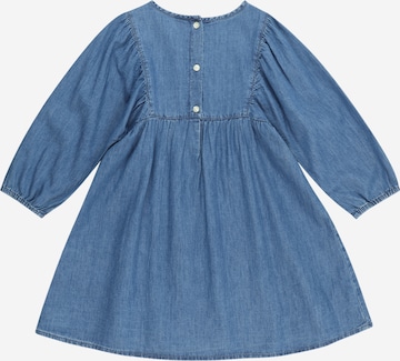 GAP Kleid in Blau