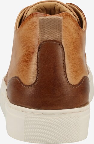 SANSIBAR Sneakers in Brown