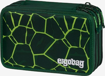 ergobag Bag 'Federmäppchen Maxi Mäppchen' in Green: front