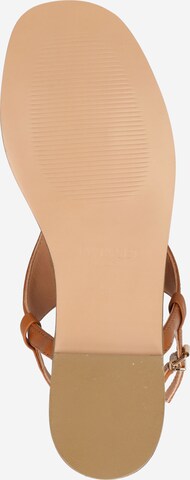 Twinset Flip-Flops 'CIABATTINA' i brun