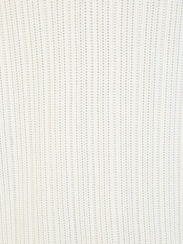 Pull-over PIERRE CARDIN en blanc
