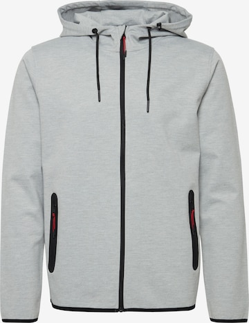 !Solid Zip-Up Hoodie 'Sdvidit' in Grey: front