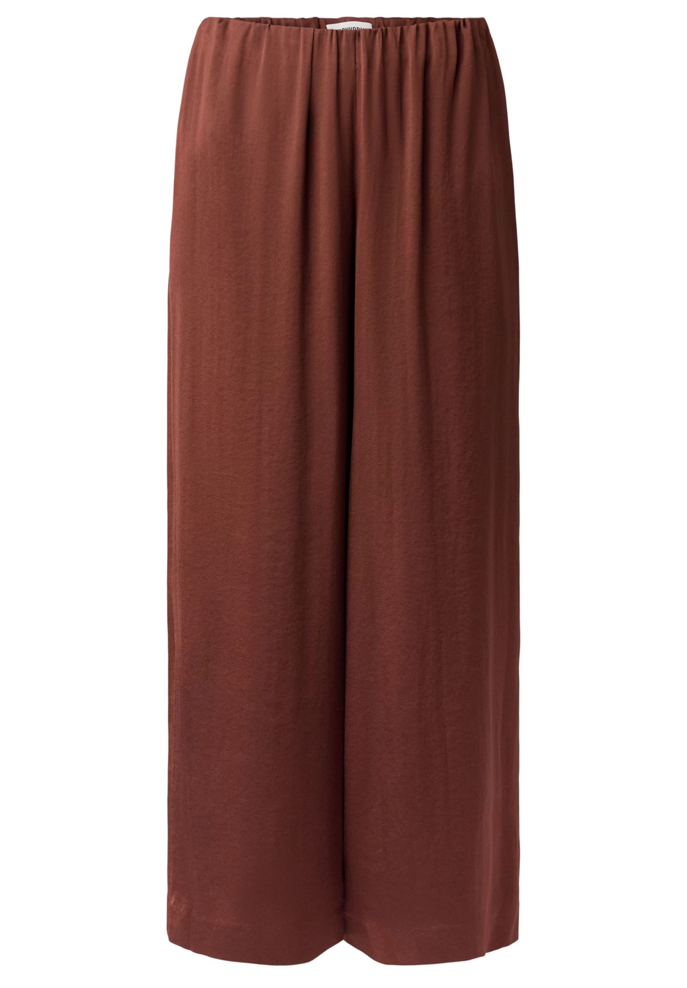 DRYKORN Pants 'Tweezer ' in 34/34 in Brown, Item view