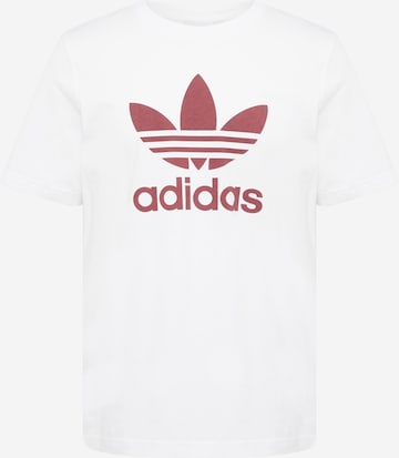 ADIDAS ORIGINALS T-shirt 'Adicolor Classics Trefoil' i vit: framsida