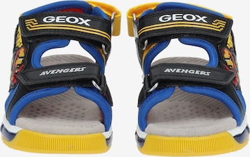 GEOX Offene Schuhe in Mischfarben