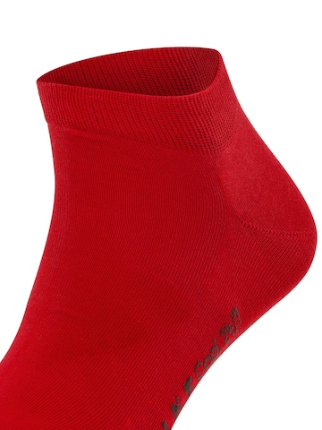 FALKE Socks 'Cool 24/7' in Red