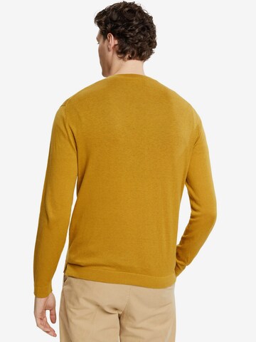 ESPRIT Pullover in Gelb