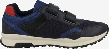 GEOX Sneakers in Blue