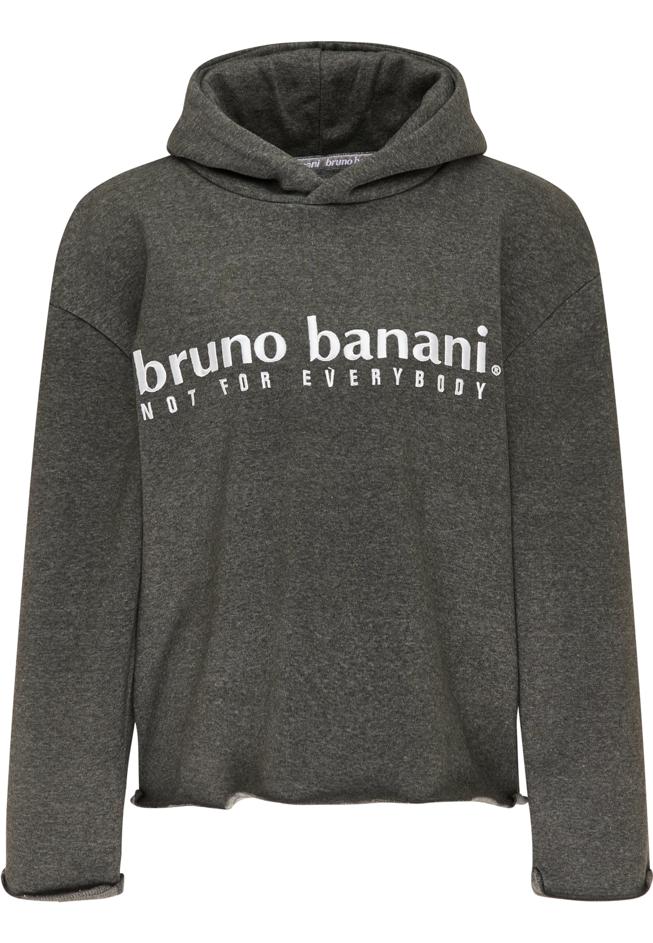 Bruno Banani Sweatshirt 'Ross' in Grijs: voorkant