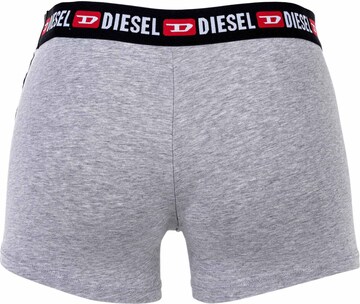DIESEL Boxer shorts 'SHAWN' in Grey