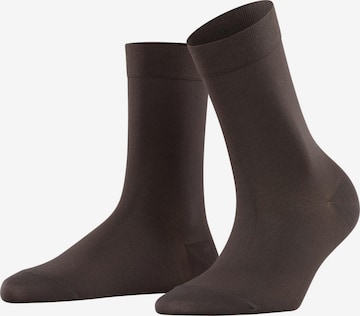 FALKE Ponožky 'Cotton Touch' – hnědá: přední strana