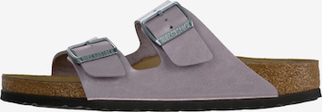 purpurinė BIRKENSTOCK Šlepetės 'Arizona': priekis