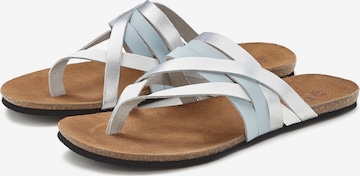 LASCANA T-Bar Sandals in Mixed colors: front