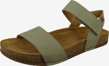 EL NATURALISTA Sandals in Grey: front