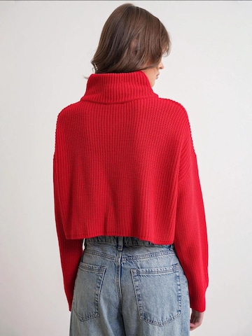 Pullover 'Pullover' di MixRay in rosso
