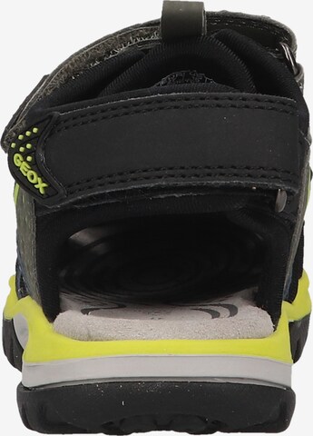 Chaussures ouvertes GEOX en vert