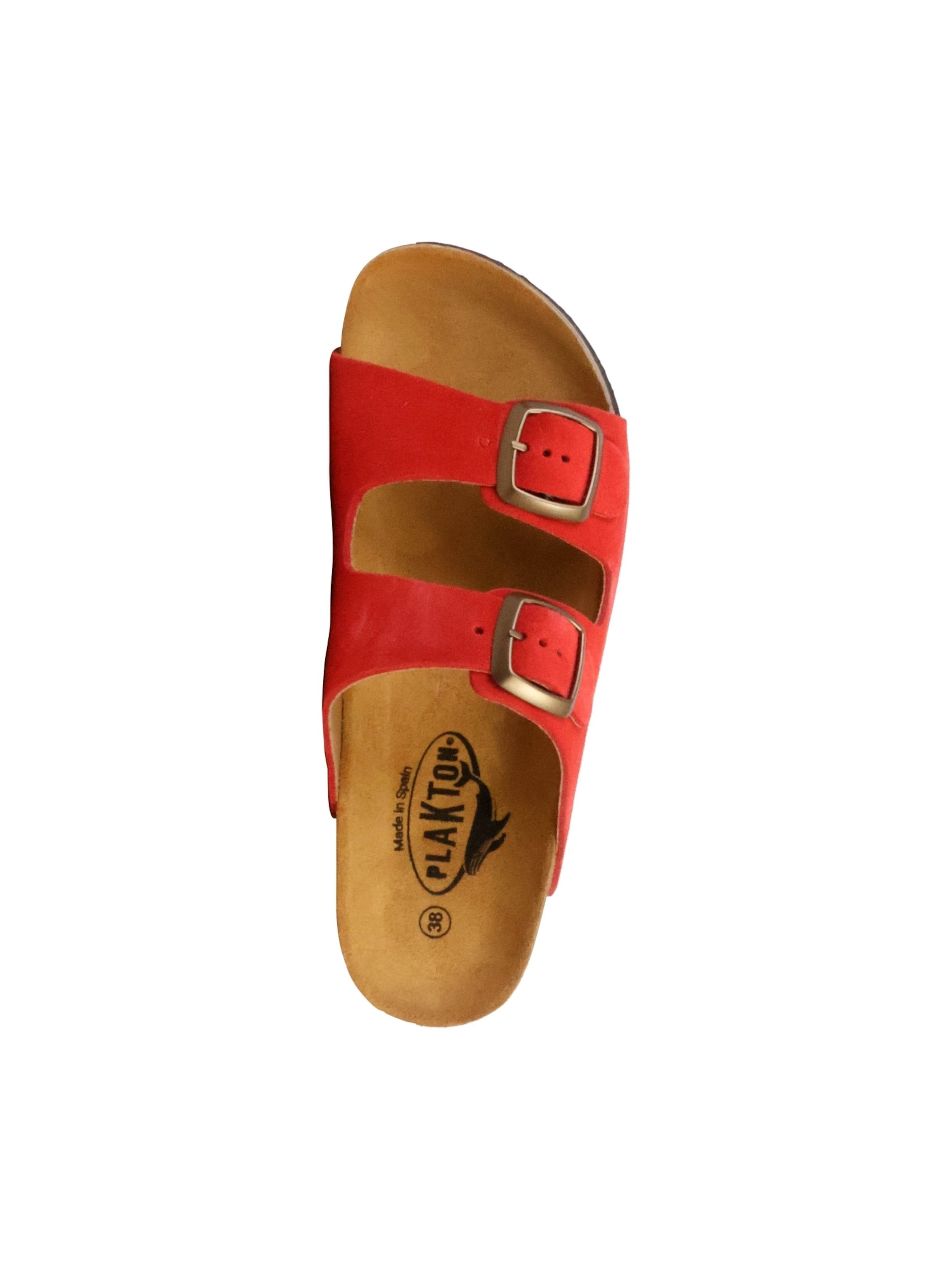 Plakton Muiltjes in Rood