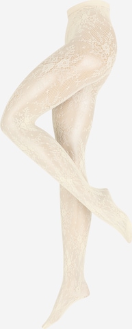 Swedish Stockings Колготки 'Rosa' в Белый: спереди