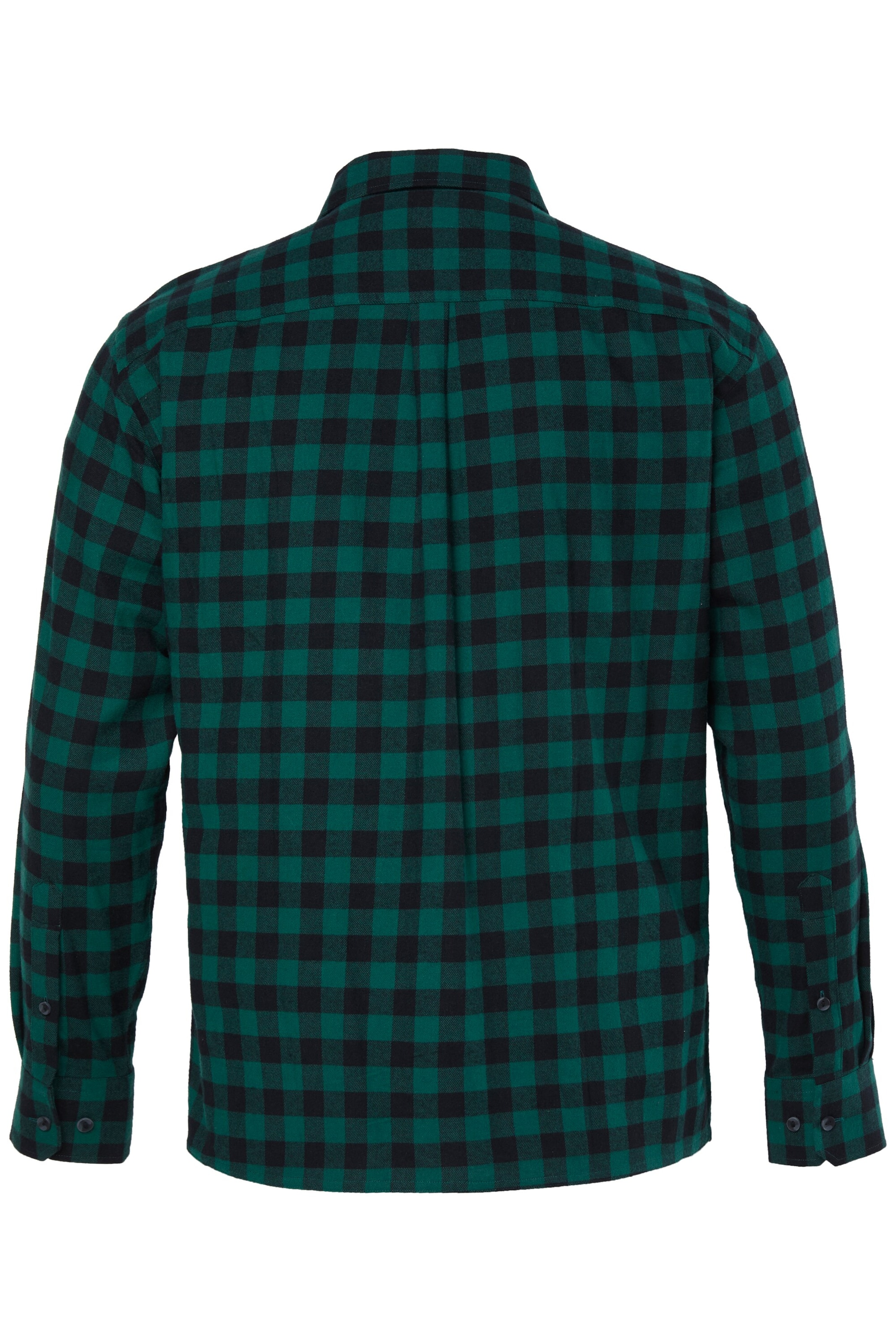 Men Plus Regular fit Button Up Shirt in Blue