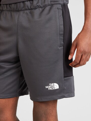 THE NORTH FACE Regular Workout Pants in Grey