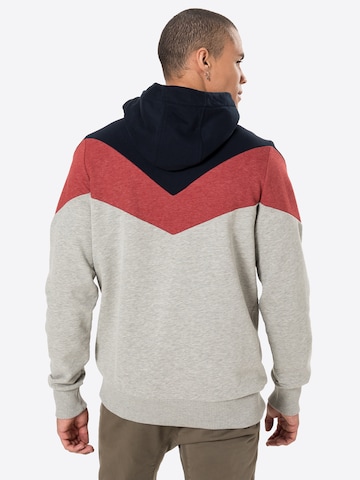 Fli Papigu Hoodie in Grau