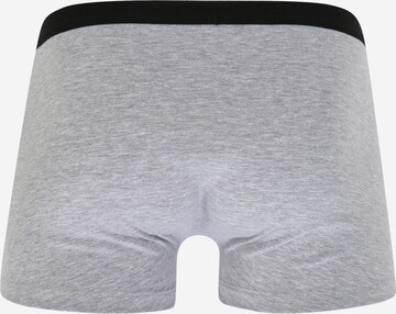 Boxers 'Tamino ' ABOUT YOU en gris