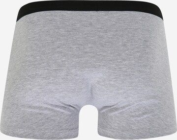 ABOUT YOU Boxer shorts 'Tamino ' in Grey