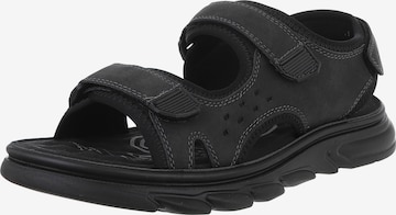 CoolWalk Hiking Sandals in Black: front