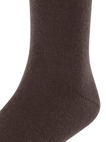 FALKE Socks 'Comfort Wool' in Brown