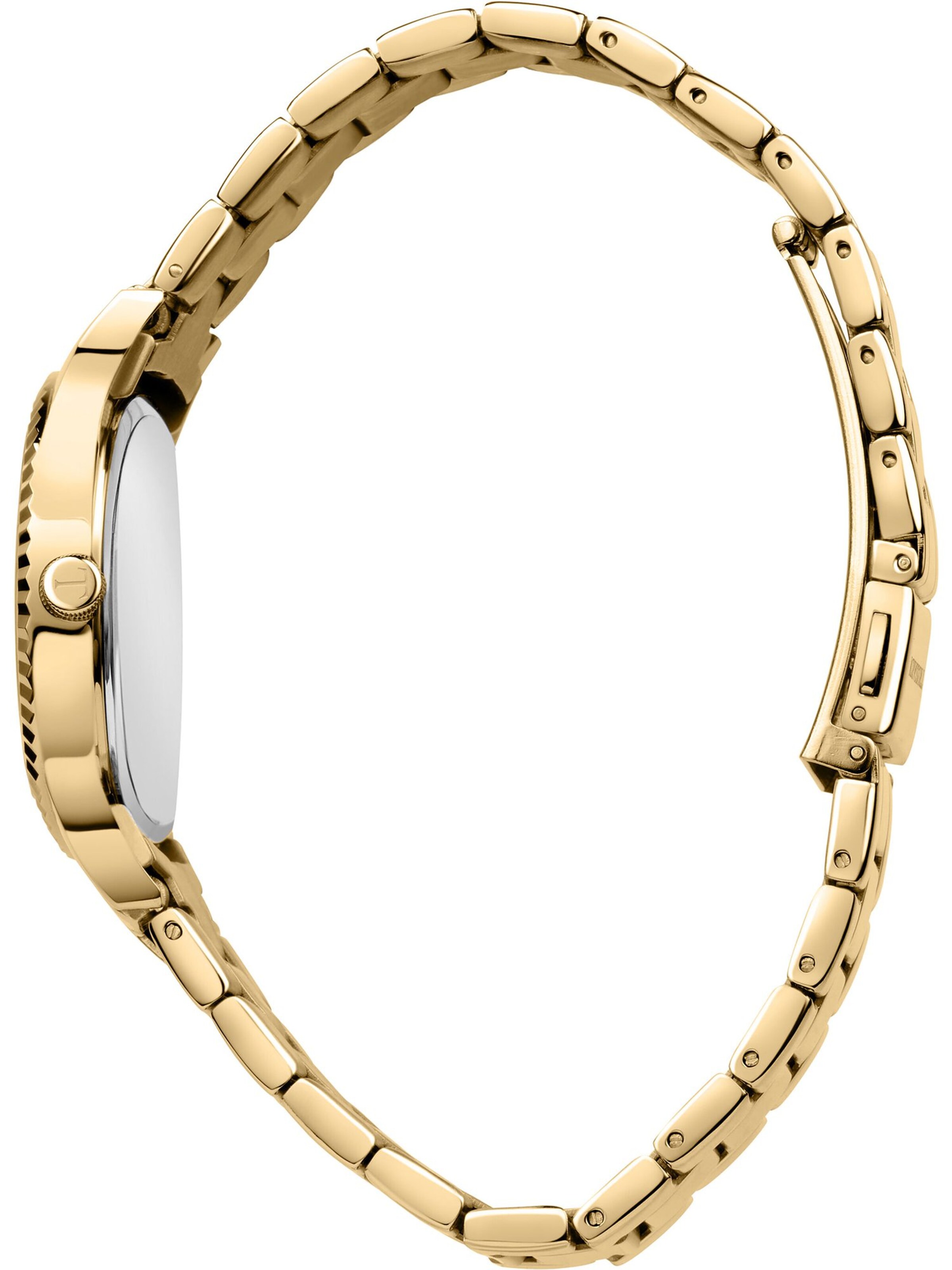 Trussardi Analoguhr in Gold