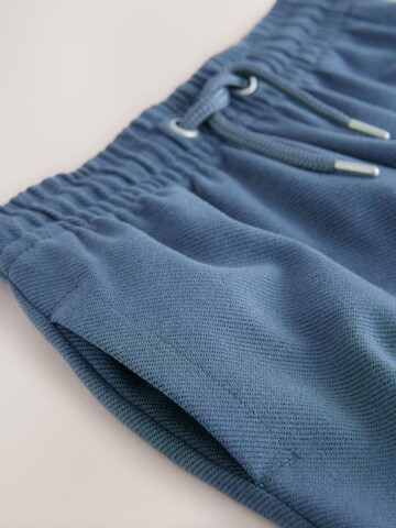 Next Regular Pants in Blue