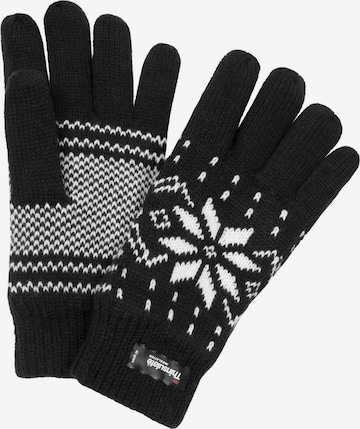 normani Full Finger Gloves in Black: front