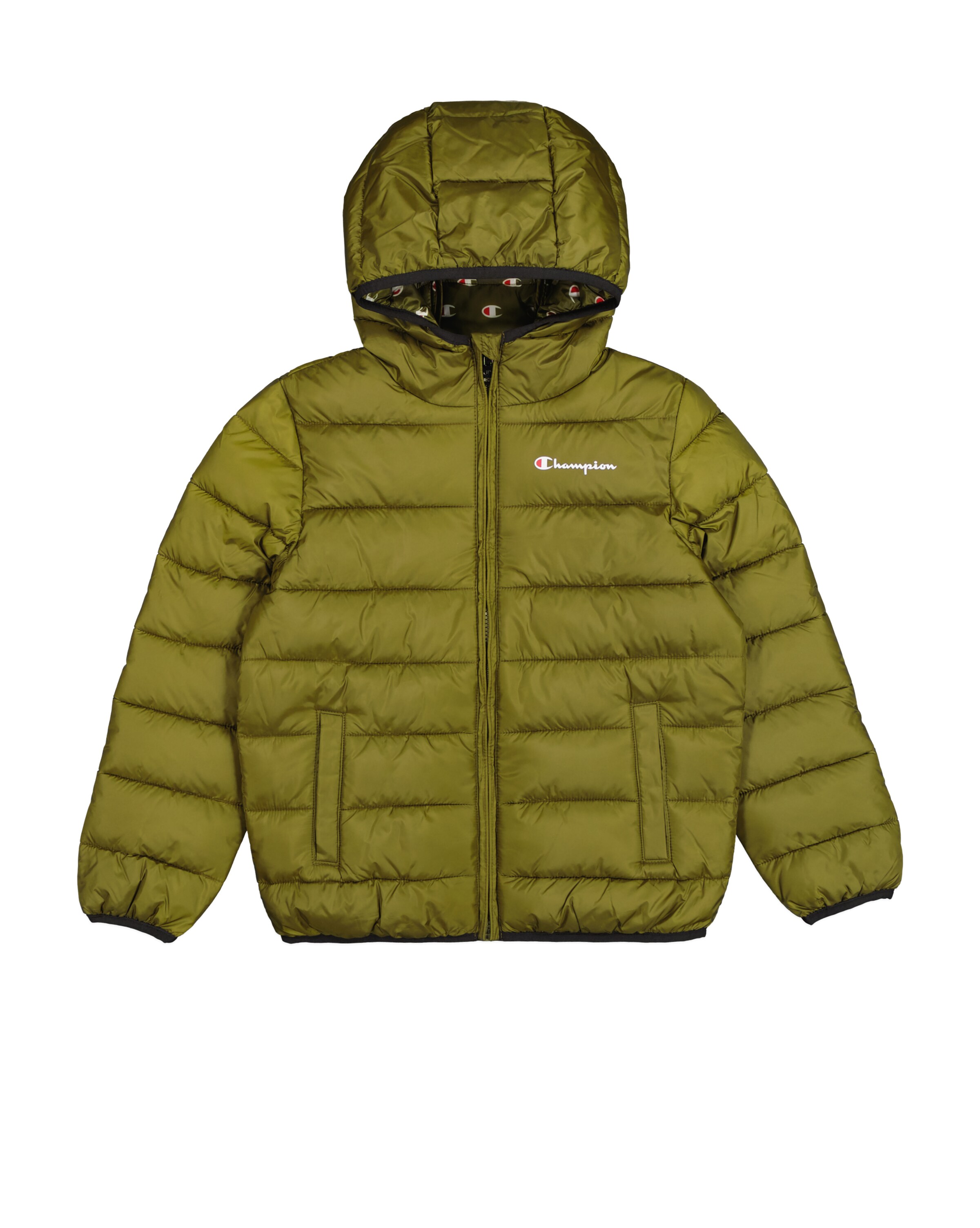 Champion Authentic Athletic Apparel Winter Jacket in Green: front