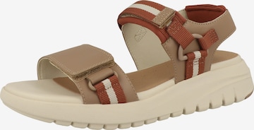 Sandales 'Flextride' GEOX en beige : devant