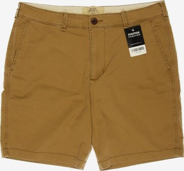 HOLLISTER Shorts 33 in Braun: predná strana