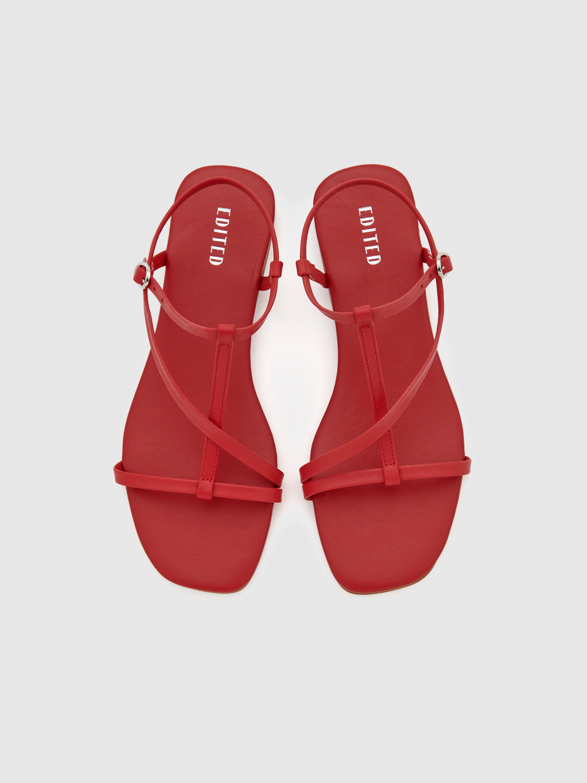 EDITED Produits Sandales à lanières 'Toyah' rouge